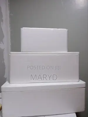 Buy 25kg / 25 Litre Styrofoam Boxes in Kenya