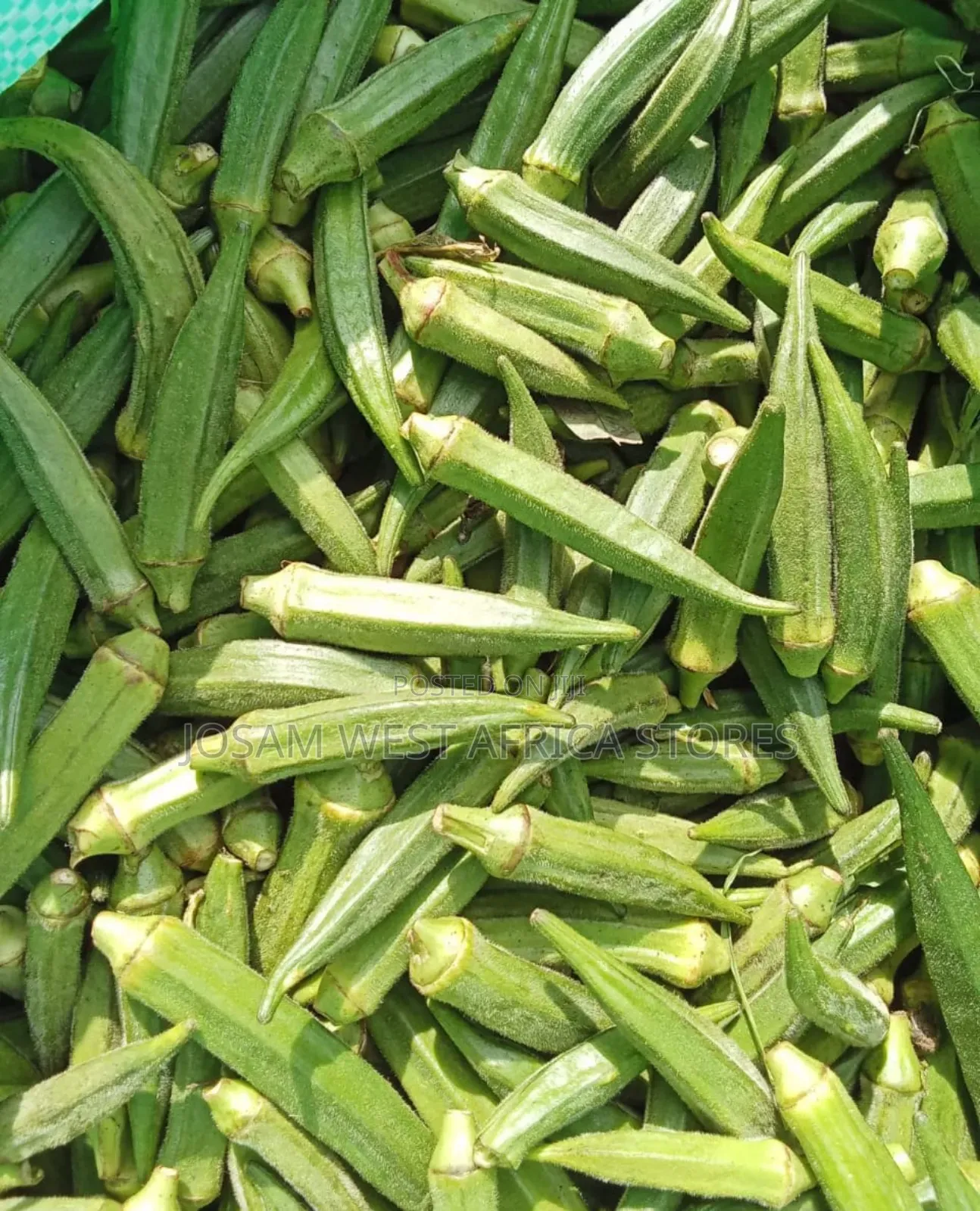 Fresh Okra Pack