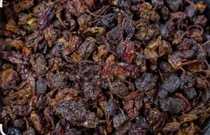 Cameroon Pepper - main view