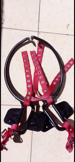 Wooden Climbers - main view