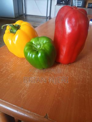 Red Yellow Green Capsicum - main view