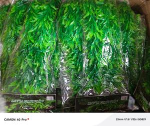 Aquarium Plastic Decor Plants,Purple Plants - main view