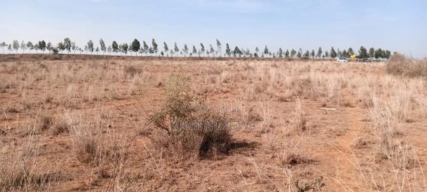 Katani Prime Plots - thumbnail 4