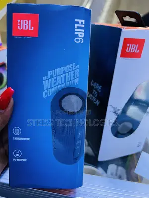 JBL Flip 6 Wireless Bt Speaker