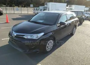 Toyota Corolla Fielder 2019 Black