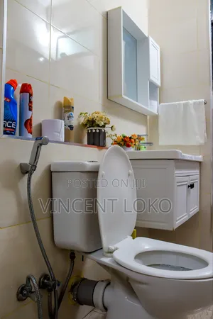 Luxury 1 2 Bedrooms Near Jkia