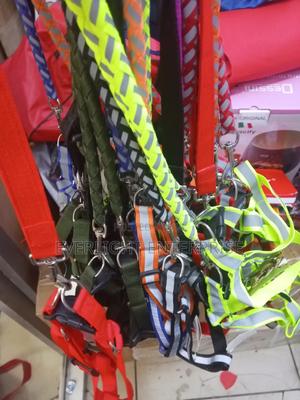 Dog Leash Medium - main view