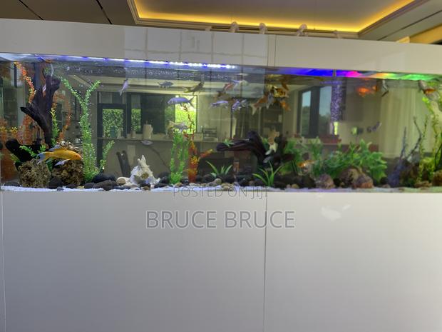 Aquarium Services - thumbnail 2