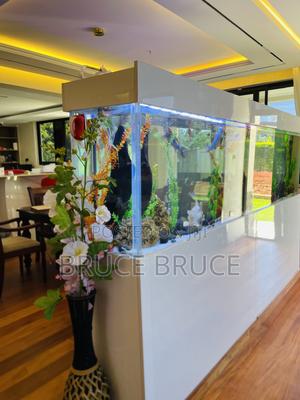 Aquarium Services - main view