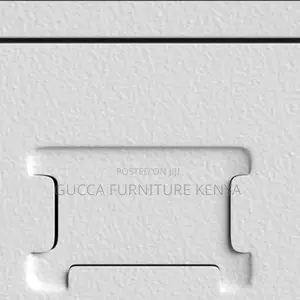Office Cabinets: 2-door Metallic Storage Cabinet