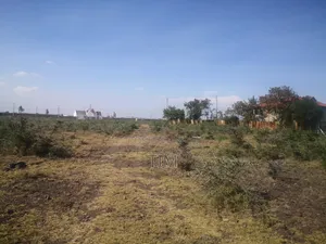 Quarter Acre Land for Sale I. Syokimau