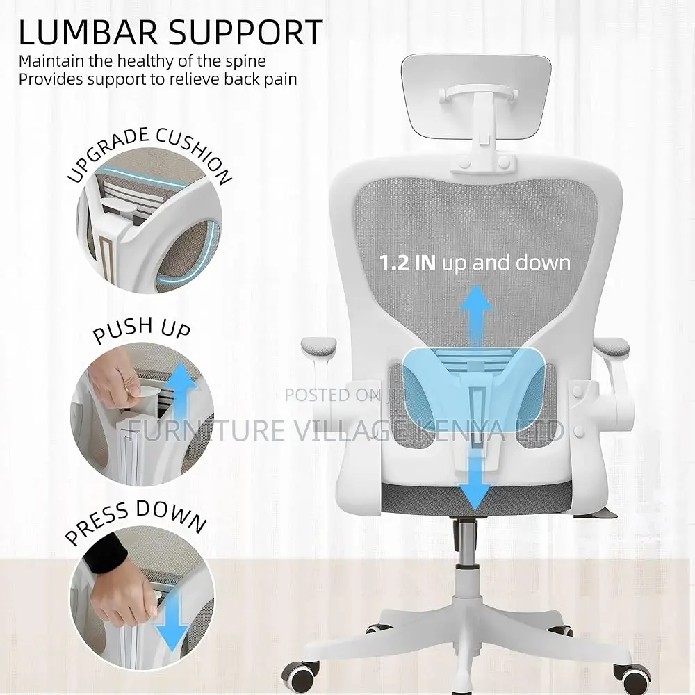 Office Chairs - Orthopedic Office Seat In White