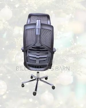 Office Chair — Neat Professional Look, Lumbar Support Built-In