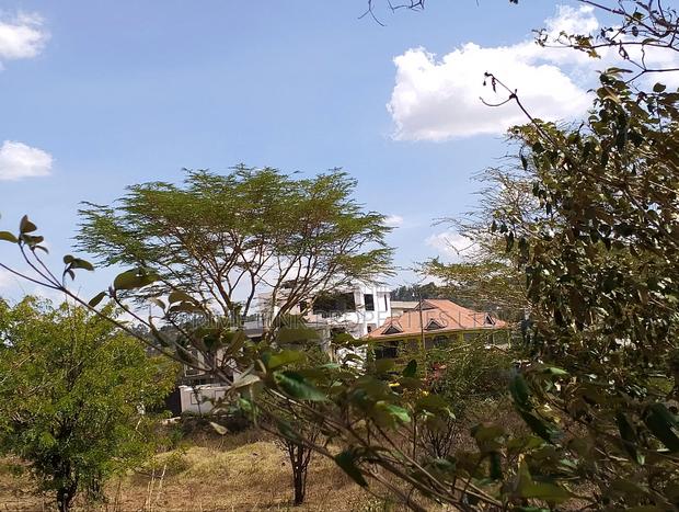 Commercia L/8 1/4 Acre Kibiko - thumbnail 3