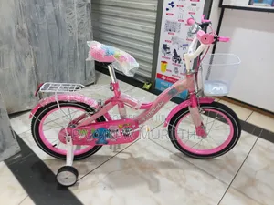 Pink Lady Bicycle Size 16 With Balancing Wheels