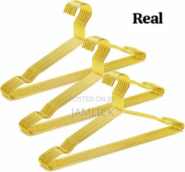 10pc Pack Golden Stainless Steel Hangers –Pm - main view