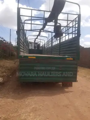 Transit Trailers for Jobs and Delivery Are Ready Within Lavington
