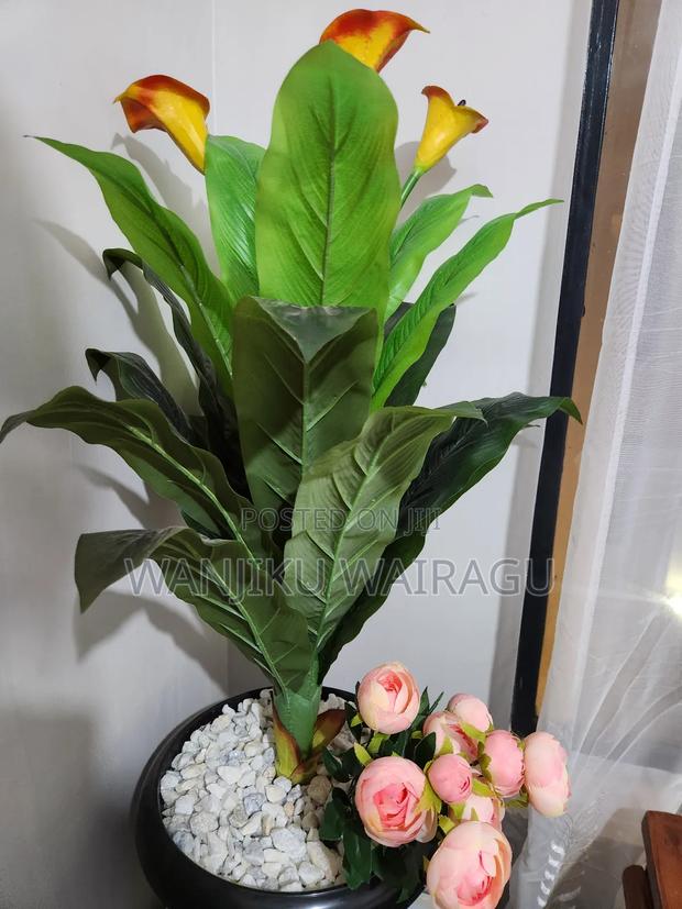 Twilight Terrace Air BNB - thumbnail 3