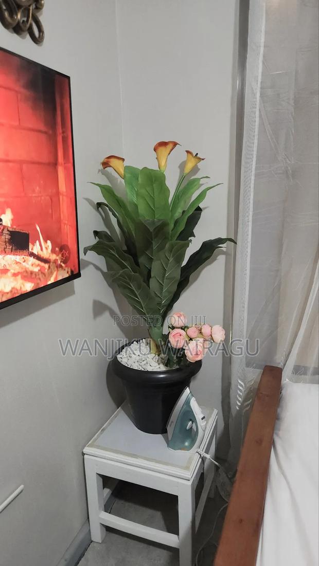 Twilight Terrace Air BNB - thumbnail 8