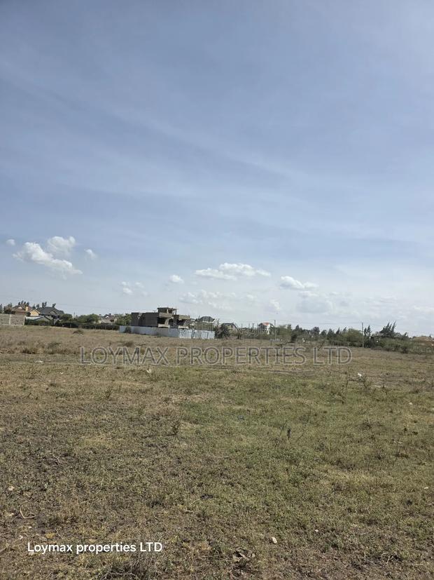 Plots for Sale 50/100 Muigai Estate Kitengela 100 Meters From Tarmac. - thumbnail 7