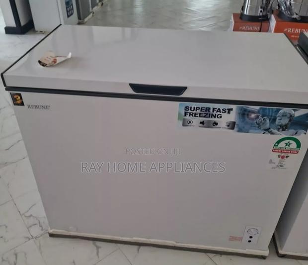 Rebune 250 Litres Deep Freezer