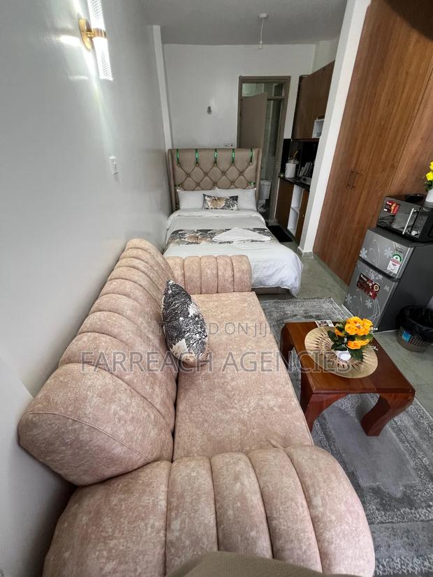 Furnished Studio Apartment in Lumumba, Roysambu - main view