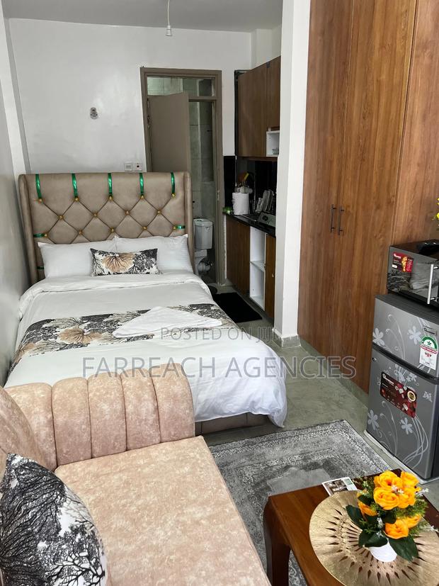 Furnished Studio Apartment in Lumumba, Roysambu - thumbnail 3