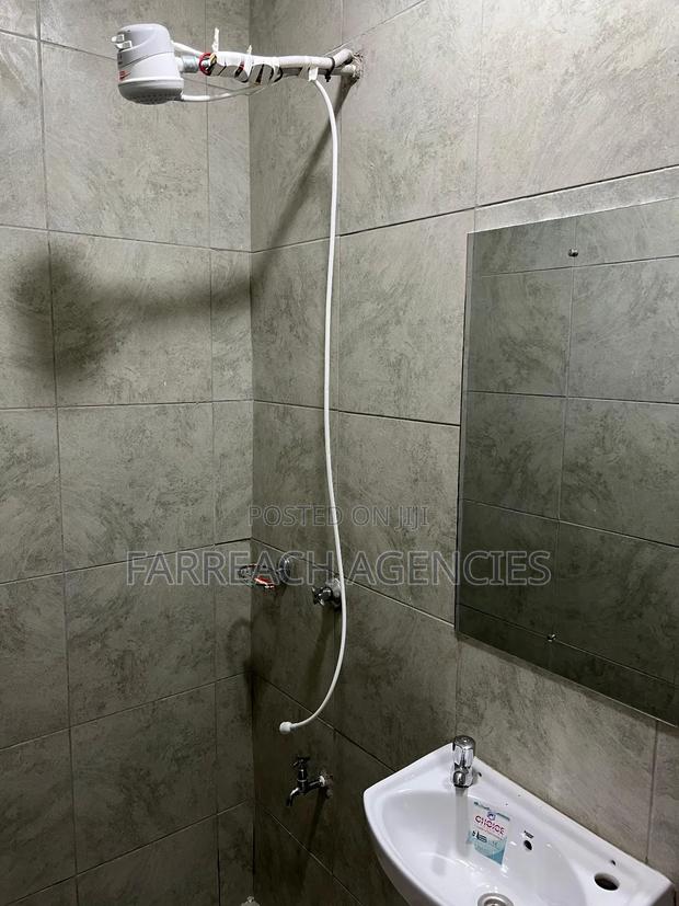 Furnished Studio Apartment in Lumumba, Roysambu - thumbnail 4