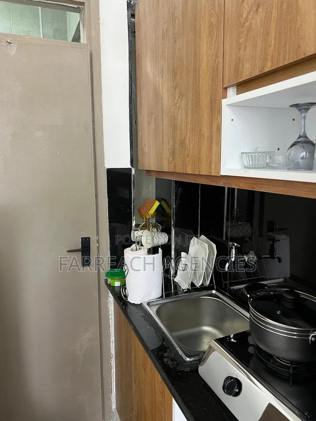 Furnished Studio Apartment in Lumumba, Roysambu - thumbnail 5