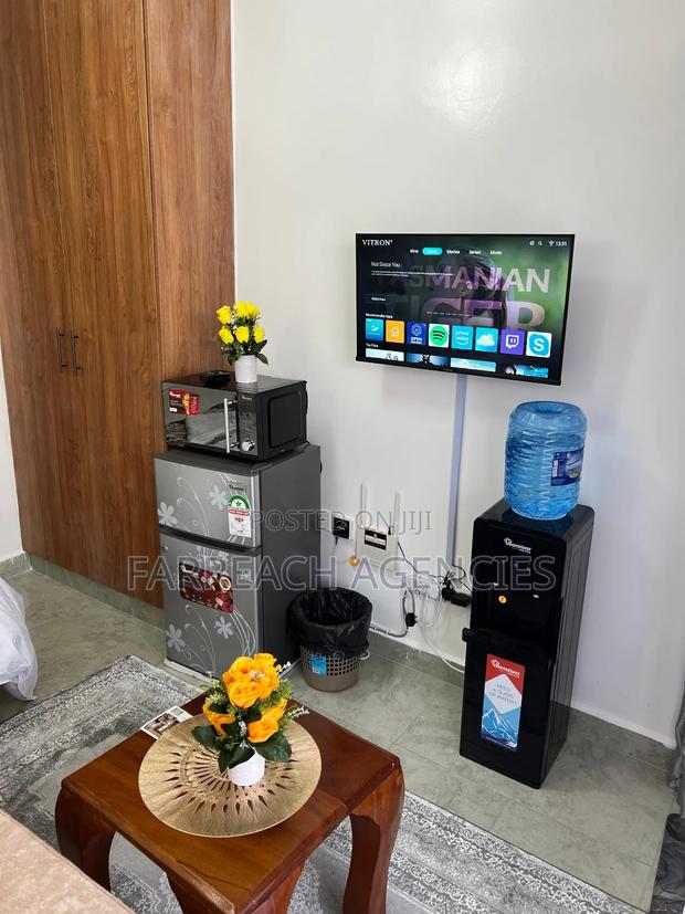 Furnished Studio Apartment in Lumumba, Roysambu - thumbnail 6