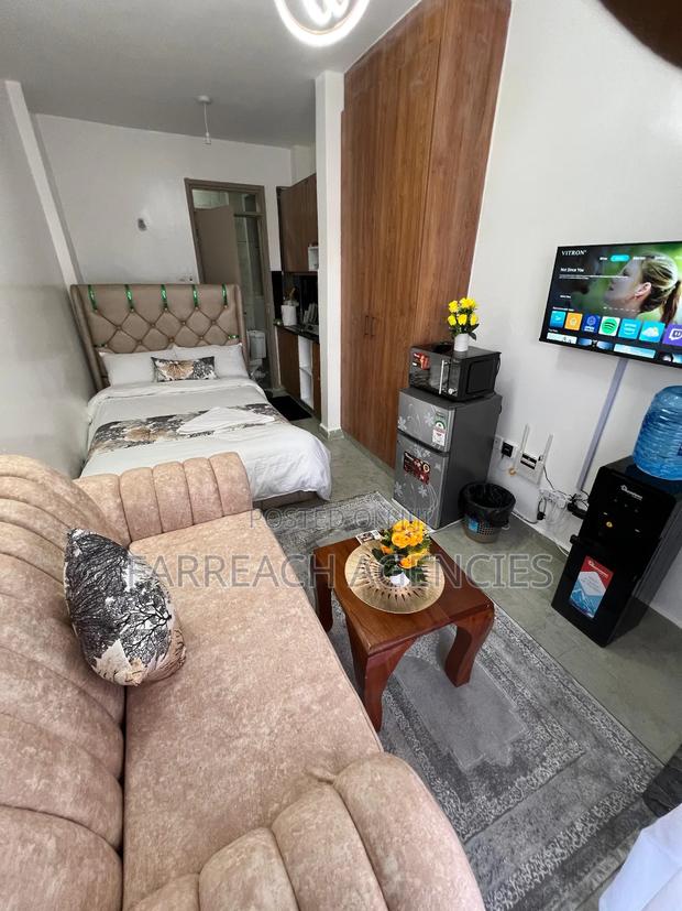 Furnished Studio Apartment in Lumumba, Roysambu - thumbnail 7