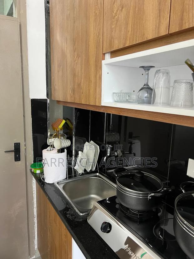 Furnished Studio Apartment in Lumumba, Roysambu - thumbnail 8