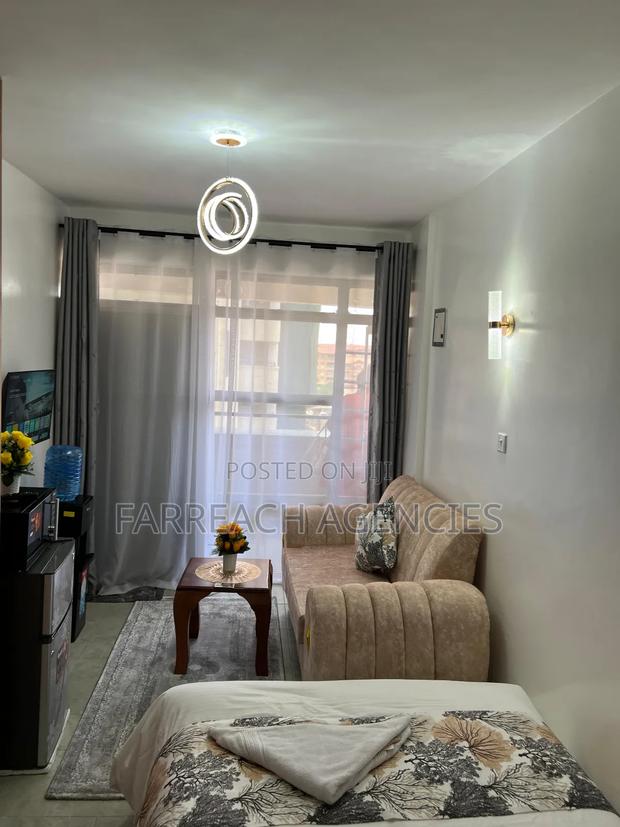 Furnished Studio Apartment in Lumumba, Roysambu - thumbnail 9