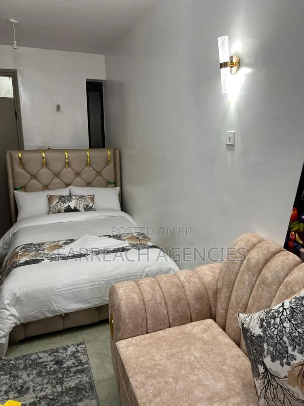 Furnished Studio Apartment in Lumumba, Roysambu - thumbnail 10