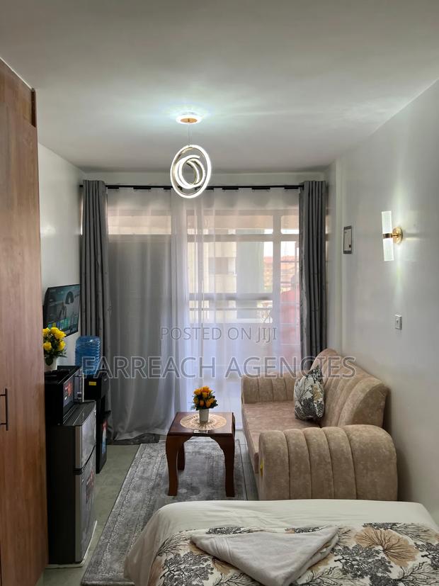 Furnished Studio Apartment in Lumumba, Roysambu - thumbnail 11