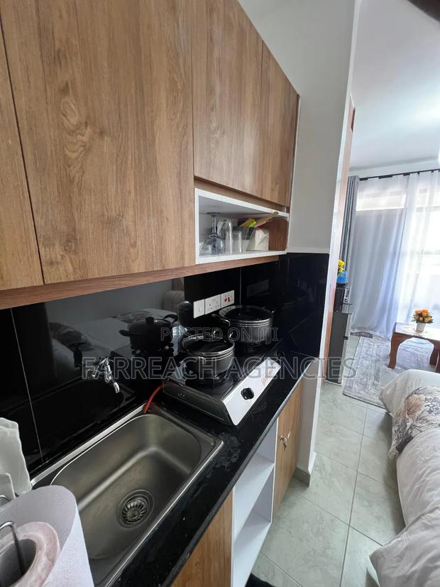Furnished Studio Apartment in Lumumba, Roysambu - thumbnail 12