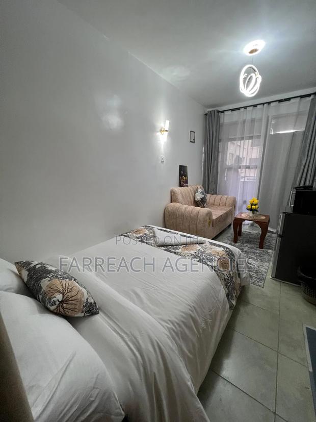 Furnished Studio Apartment in Lumumba, Roysambu - thumbnail 13
