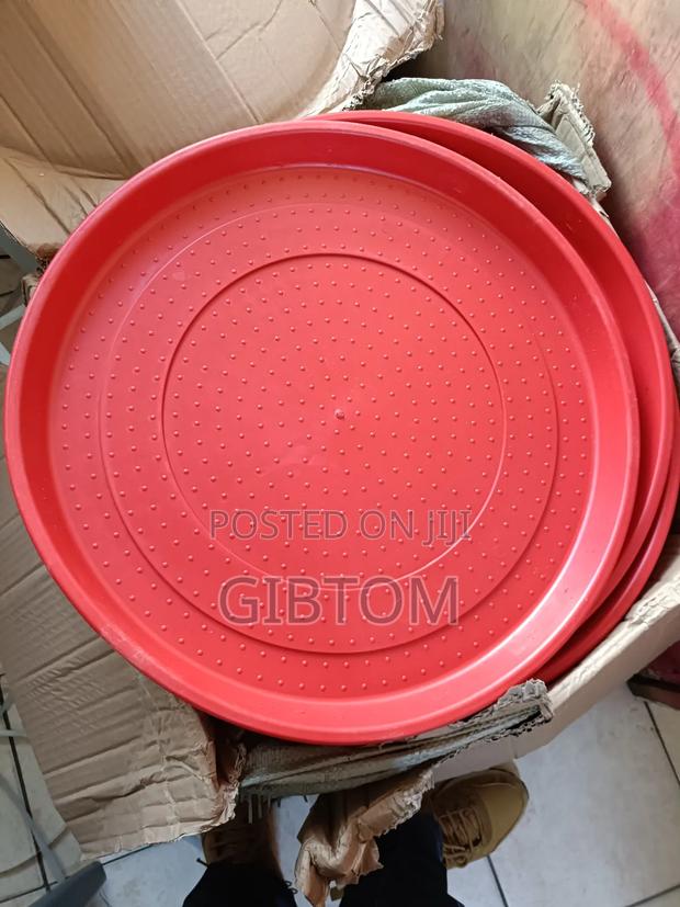 Chick Feeding Trays Circular Xxlarge 50cm Diameter - thumbnail 2