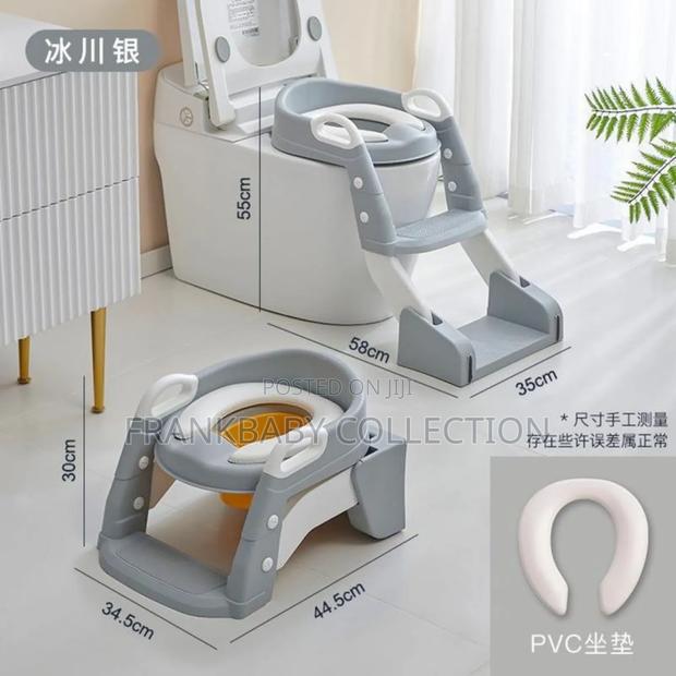 Kids Toilet Trainer With Potty Ladder