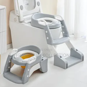 Kids Toilet Trainer With Potty Ladder