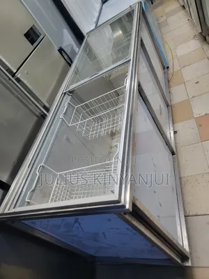 Large Capacity Commercial Freezer