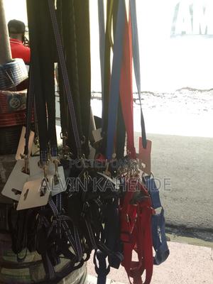 Dog Leash and Collar - thumbnail 2