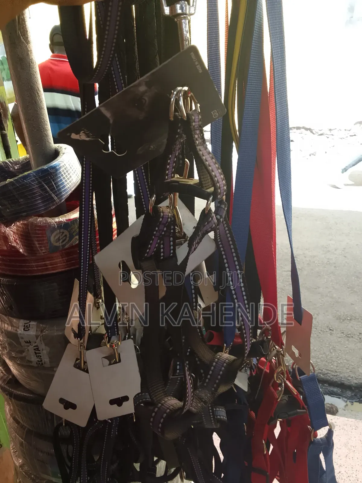 Dog Leash and Collar
