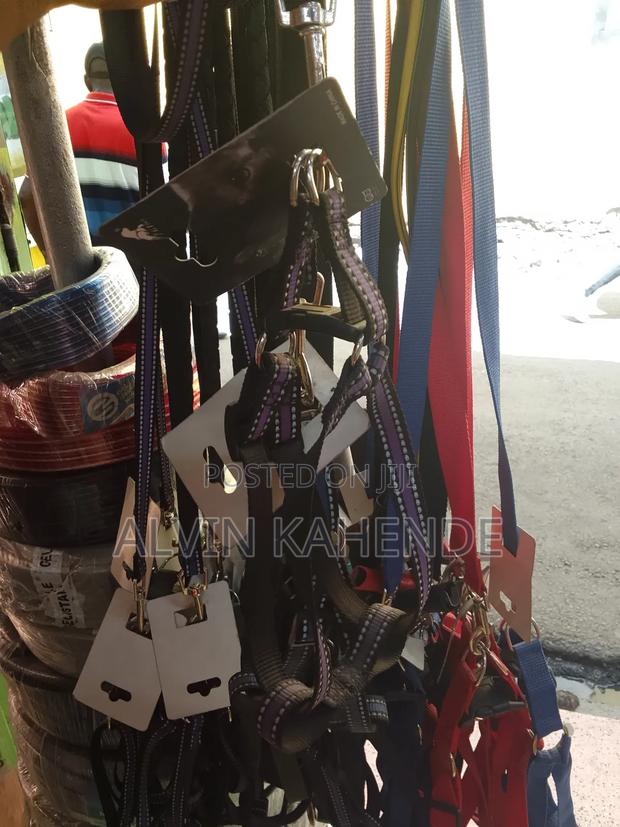 Dog Leash and Collar - thumbnail 3