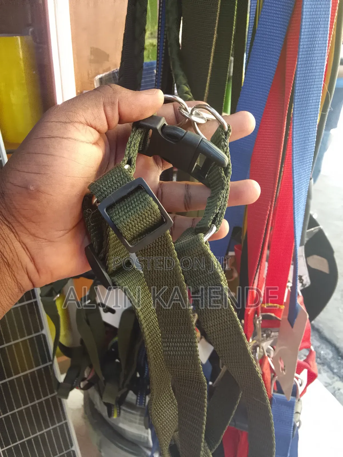 Dog Leash and Collar
