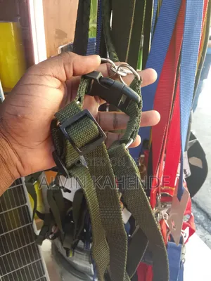 Dog Leash and Collar