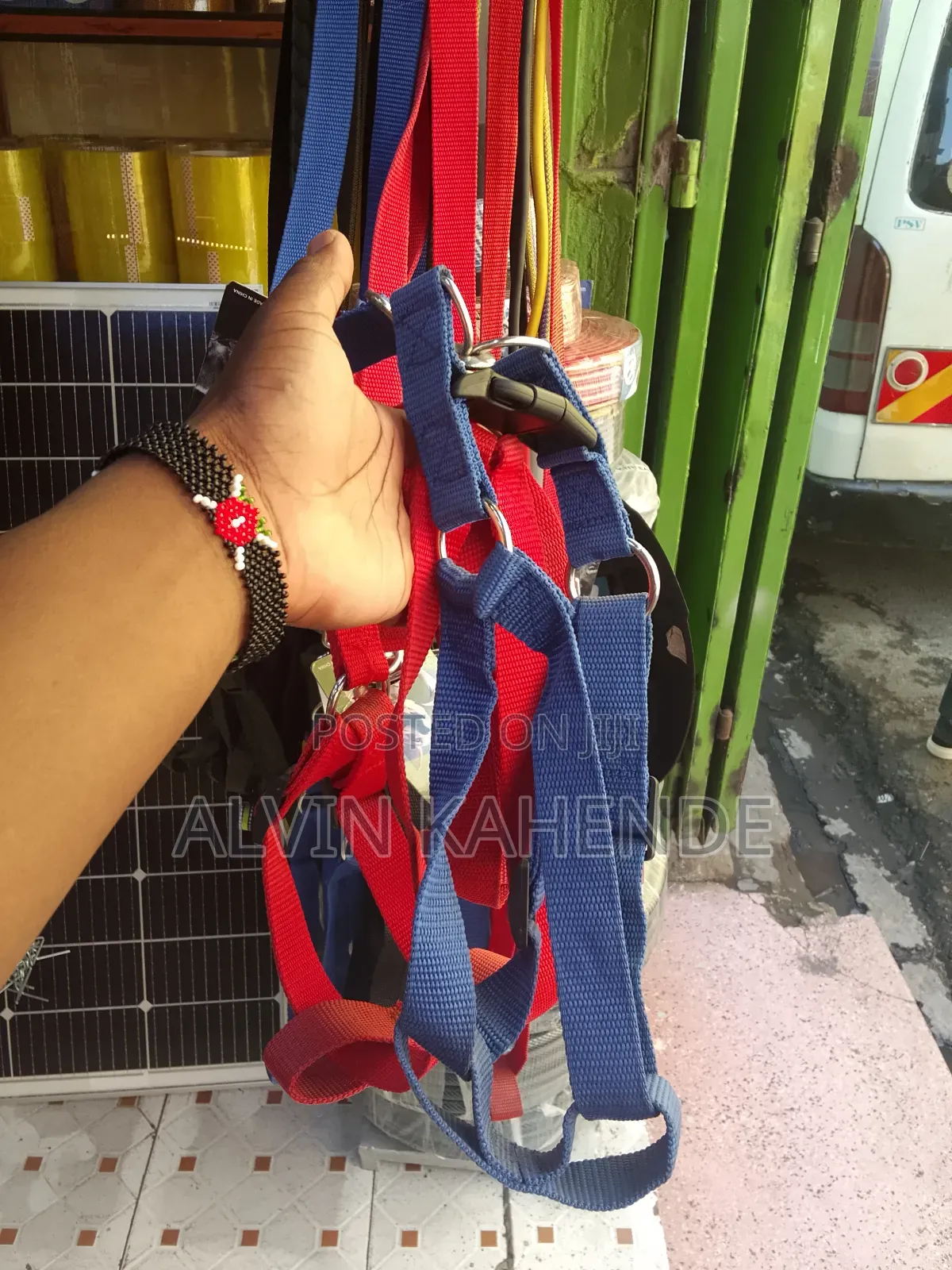 Dog Leash and Collar