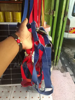 Dog Leash and Collar