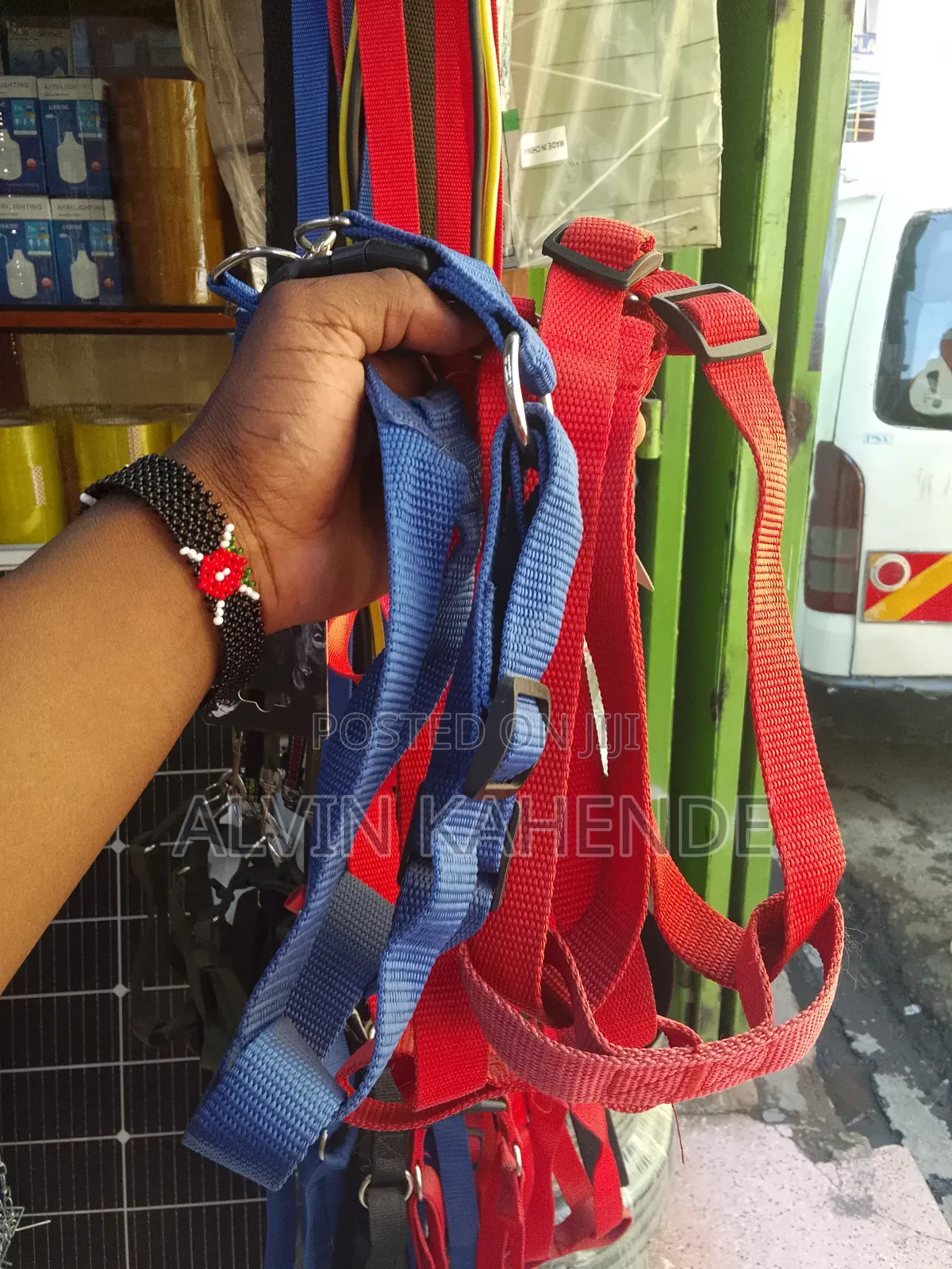 Dog Leash and Collar
