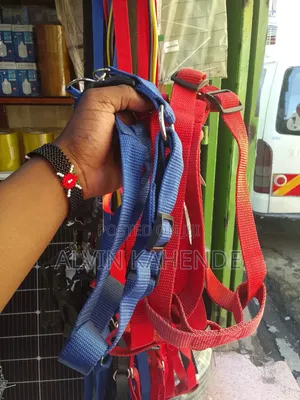 Dog Leash and Collar
